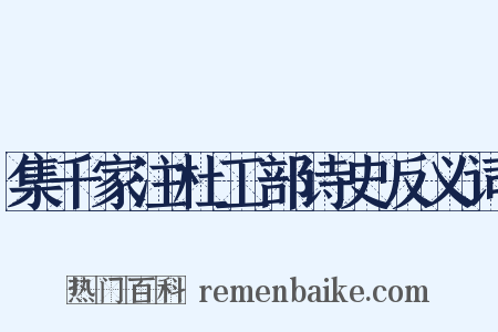 集千家注杜工部诗史反义词是什么意思的图片